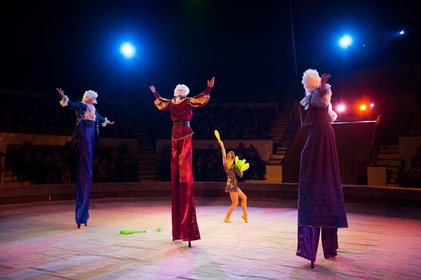 Devenir échassier : votre guide vers un métier captivant